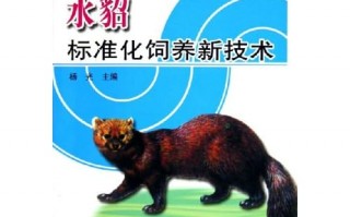 貂的配种技术，貂的配种技术是什么