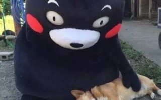 屎酱技术，屎酱是什么意思