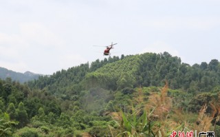 在梧州技术，梧州技术职业学院