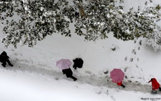 ai初雪照片，初雪 照片