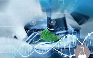 生物化工技术，生物化工技术应用是干什么的